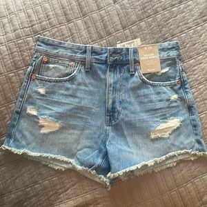 Madewell relaxed denim shorts in renfield wash: Destructed edition